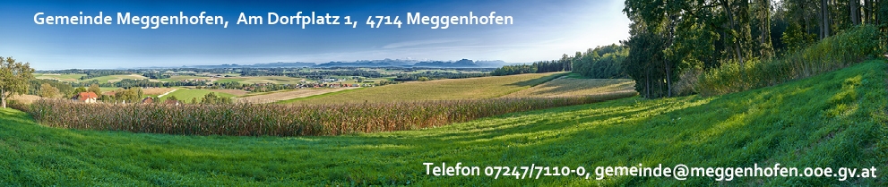 Ausblick über Meggenhofen